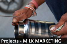 Milk Marketing